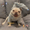 Clothes, Dogs Cats Favs Teddy Schnauzer by My Store