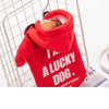 Warm Cat Puppy Clothes Pet Trendy Sweater by My Store