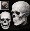 Mask Movable Skull Halloween Dinosaur Skull by My Store