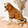 Pet Dog Golden Retriever Clothes Tiger Pet Costume by My Store