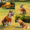 Halloween Dog Sweaters Pet Costume Teddy Warm Leisure Sweater Cosplay Clothes For Dogs Pets Outfits by My Store