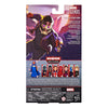 Marvel Legends What If? T'Challa Star-Lord 6-Inch Action Figure by THE MIGHTY HOBBY SHOP