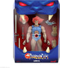 Lion-O Thundercats super 7 by THE MIGHTY HOBBY SHOP