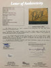 Autographed/Signed Pele Brazil Brasil Soccer Futbol World Cup Jersey JSA LOA COA