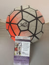 Autographed/Signed Abby Wambach Team USA World Cup USWNT Nike Soccer Ball JSA COA