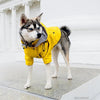 Dog Raincoat Pet Clothes Dog Clothes Rain Water by My Store