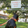 The "Balteus" brown collar by Bestia Dog Gear