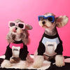 Dog Clothes Stitching Zipper Pullover Sweater by My Store