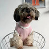 Autumn And Winter Warm And Comfortable Dog Sweater Clothes Pet Cat Clothing Flower Blossom Sweater Collection by My Store
