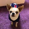 Christmas Maple Snowflake Turtleneck Knitted Sweater Pet Clothes by My Store