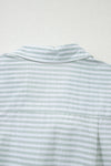 Striped Johnny Collar Long Sleeve Mini Shirt Dress