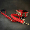 The ABKC Collar by Bestia Dog Gear