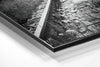Red Umbrella Brushed Aluminium Dibond Wall Art by Insigneart USA