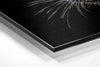Black Panther Brushed Aluminium Dibond Wall Art by Insigneart USA