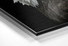 Eagle Brushed Aluminium Dibond Wall Art by Insigneart USA