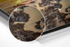 Sunset Brushed Aluminium Dibond Wall Art by Insigneart USA