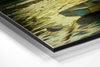 Sunset and Boat Brushed Aluminium Dibond Wall Art by Insigneart USA