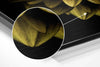 Flower Brushed Aluminium Dibond Wall Art by Insigneart USA