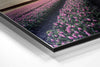 Tulip Field Brushed Aluminium Dibond Wall Art by Insigneart USA