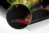 Feel the Music Brushed Aluminium Dibond Wall Art by Insigneart USA