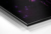 Pisces Brushed Aluminium Dibond Wall Art by Insigneart USA