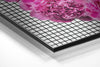 Lips Brushed Aluminium Dibond Wall Art by Insigneart USA