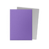 Dragon Shield: Nebula & Silver - Matte Dual Sleeves by THE MIGHTY HOBBY SHOP