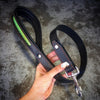 The ''D`Albertis'' collar by Bestia Dog Gear