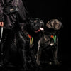 The ''D`Albertis'' harness LIMITED by Bestia Dog Gear