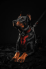 The ''Red Dragon'' collar by Bestia Dog Gear