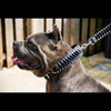 The ''Steampunk'' collar exclusive design by Bestia Dog Gear