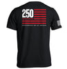 America 250 Years Anniversary Flag by Shield Republic