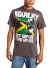 Bob Marley Zion Rootswear Men'S Marley Get Up Stand Up T-Shirt,Charcoal,Medium [T-Shirt] by Rock Band Apparel