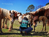 Buckle Up Butter Cup Hoodie by Luckless Outfitters