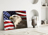 American Eagle Glass Wall Art by Insigneart USA