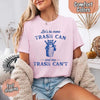 Comfort Colors Let’s Be More Trash Can Raccoon Funny T-Shirt by Adorb Custom Tees