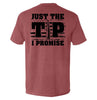 Just The Tip I Promise Flag by Shield Republic