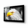 Eagle Glass Wall Art by Insigneart USA