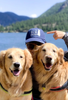 Hat: I Like Big Mutts by Dog is Good
