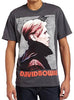 David Bowie Men'S David Bowie Low Portrait Men'S T-Shirt, Gray, Large [T-Shirt] by Rock Band Apparel