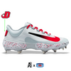 "Dickinson College" Nike Alpha Huarache Elite 4 Low Cleats