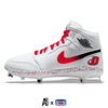 "Dickinson College" Jordan 1 Retro Cleats