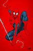 [Foil] Amazing Spider-Man #51 Unknown Comics David Nakayama Exclusive Virgin Color Bleed Var (06/05/2024) by Unknown Comic Books