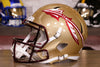 Florida State Seminoles Riddell Speed Display Helmet
