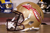 Florida State Seminoles Riddell Speed Display Helmet