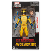 Marvel Legends Series Wolverine Action Figure by THE MIGHTY HOBBY SHOP