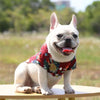 Hawaiian Pet Shirts by Furr Baby Gifts