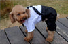 Handsome Stylish Pet Suit with Bow Tie by Furr Baby Gifts