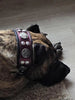 The "Hektor" Burgundy Collar LIMITED by Bestia Dog Gear