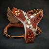 The "Hermes" leather harness - Small to Medium Size by Bestia Dog Gear